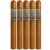 PACK OF 5