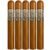 PACK OF 5
