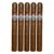 PACK OF 5