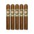 PACK OF 5