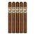 PACK OF 5