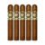 PACK OF 5