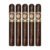 PACK OF 5