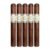 PACK OF 5
