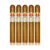 PACK OF 5