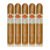PACK OF 5