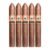 PACK OF 5