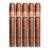 PACK OF 5