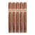 PACK OF 5