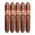 PACK OF 5