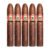 PACK OF 5
