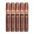 PACK OF 5