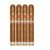 PACK OF 4