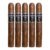 PACK OF 5