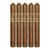 PACK OF 5