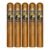 PACK OF 5