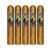 PACK OF 5