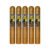 PACK OF 5