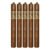 PACK OF 5