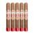PACK OF 5
