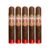 PACK OF 5
