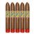 PACK OF 5
