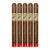 PACK OF 5