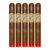 PACK OF 5