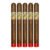 PACK OF 5