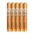 PACK OF 5