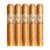 PACK OF 5