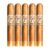 PACK OF 5