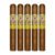 PACK OF 5