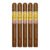 PACK OF 5