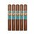 PACK OF 5