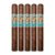 PACK OF 5