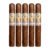 PACK OF 5