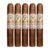 PACK OF 5