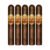 PACK OF 5