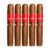 PACK OF 5