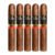PACK OF 5