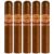 PACK OF 5