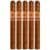 PACK OF 5