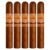 PACK OF 5