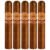 PACK OF 5