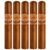 PACK OF 5