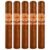 PACK OF 5