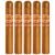 PACK OF 5
