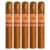 PACK OF 5