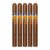 PACK OF 5